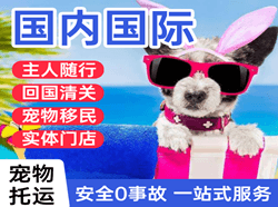 张掖甘州机场快运国际宠物托运 【国